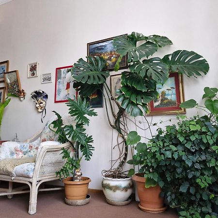 Tamari Guest House Telawi Zewnętrze zdjęcie