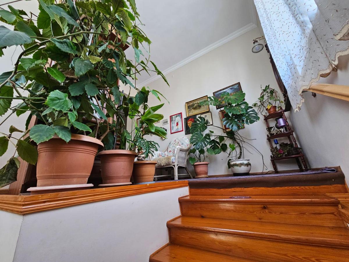 Tamari Guest House Telawi Zewnętrze zdjęcie