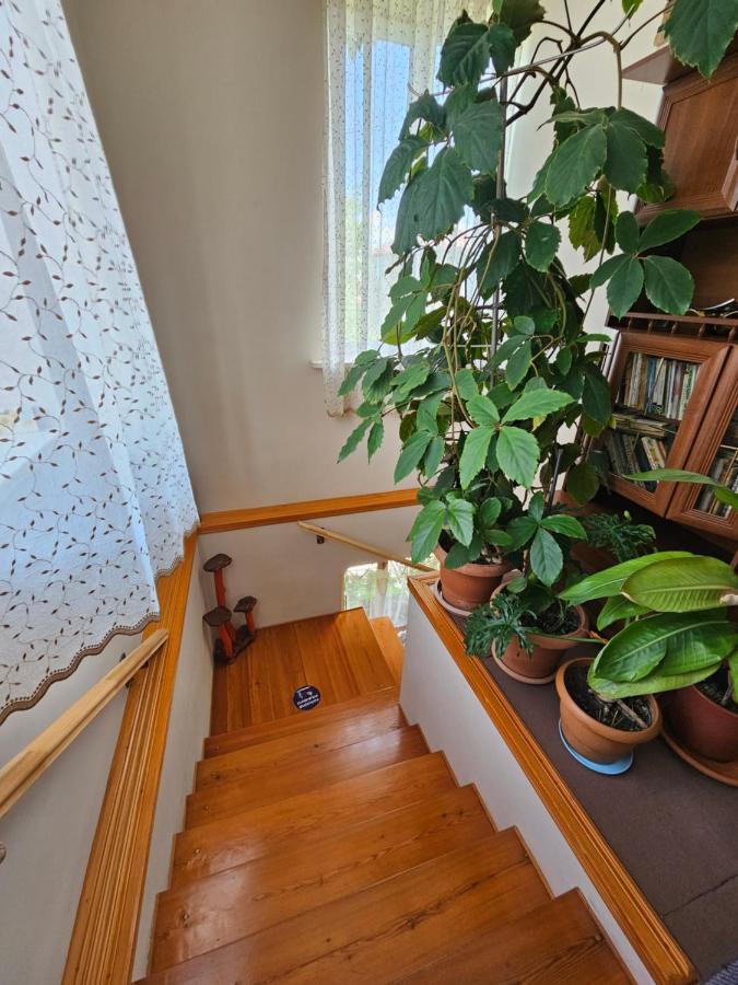 Tamari Guest House Telawi Zewnętrze zdjęcie