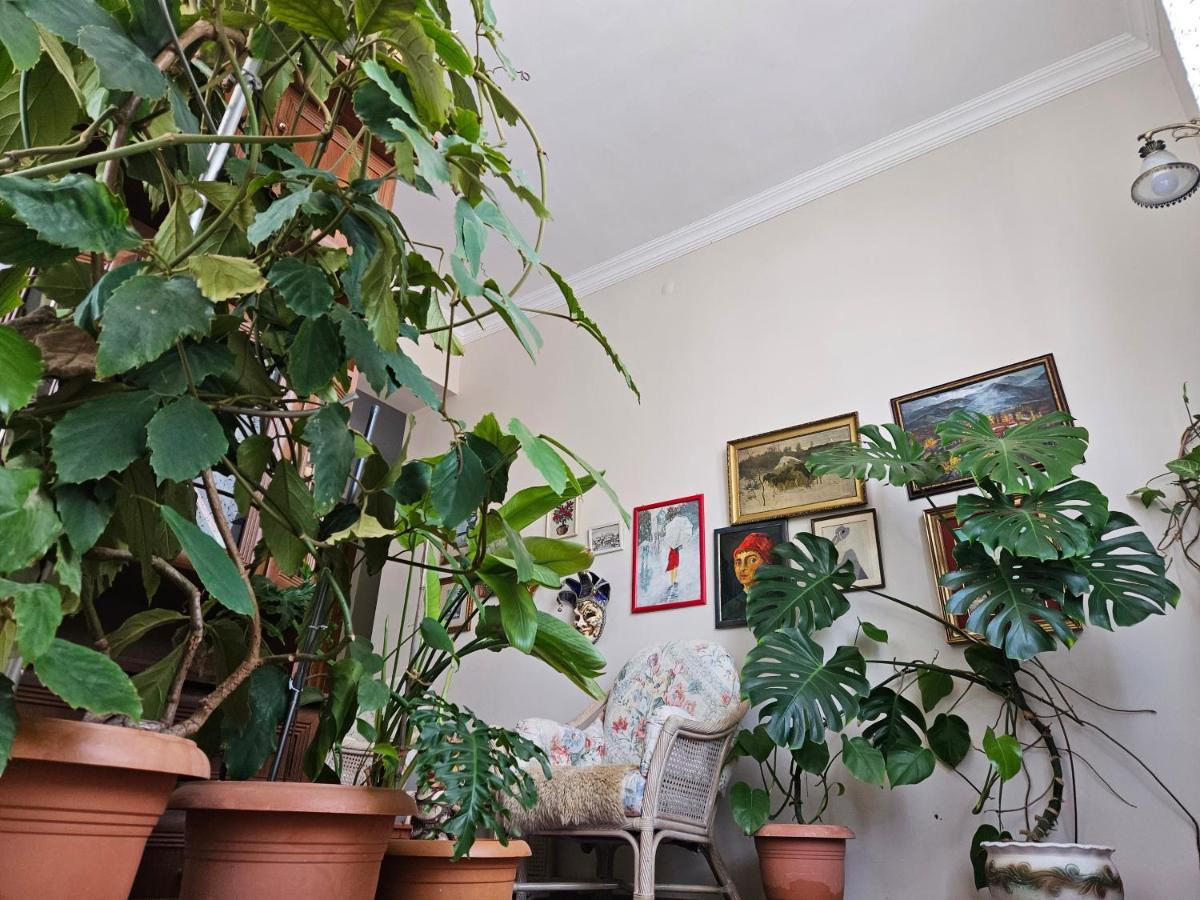 Tamari Guest House Telawi Zewnętrze zdjęcie