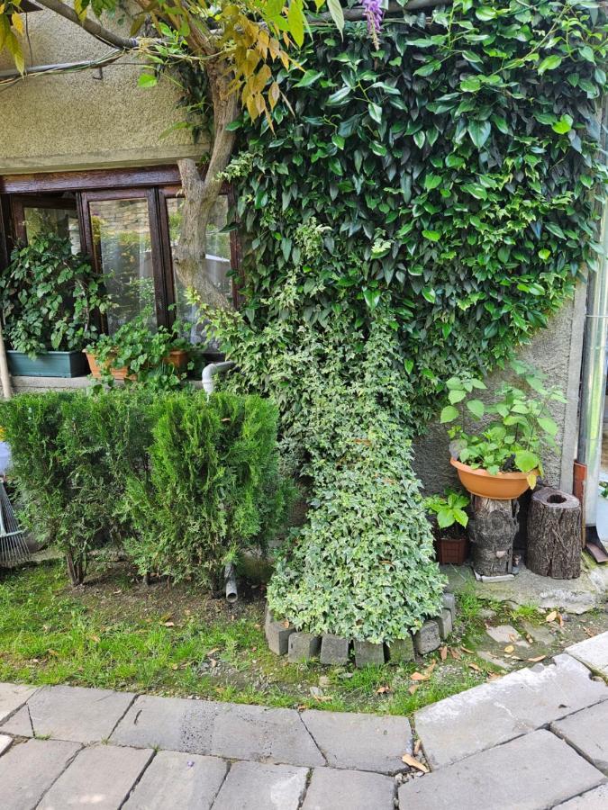 Tamari Guest House Telawi Zewnętrze zdjęcie