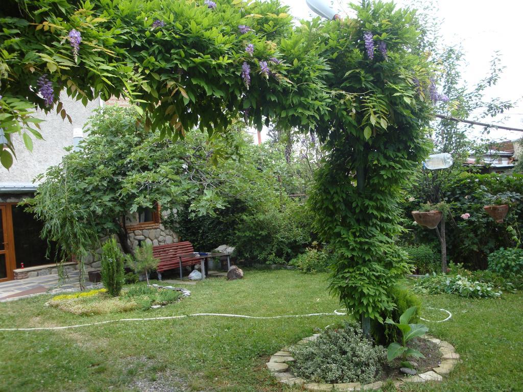 Tamari Guest House Telawi Zewnętrze zdjęcie