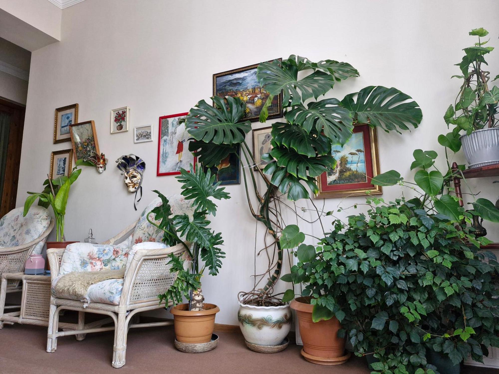 Tamari Guest House Telawi Zewnętrze zdjęcie