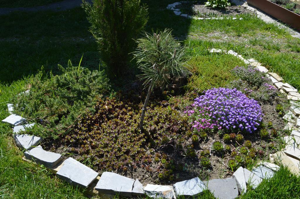 Tamari Guest House Telawi Zewnętrze zdjęcie