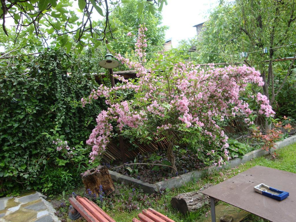 Tamari Guest House Telawi Zewnętrze zdjęcie