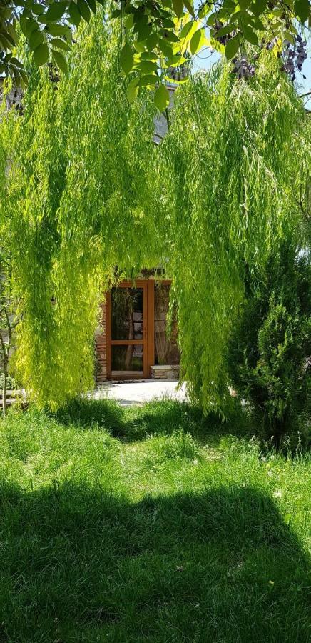 Tamari Guest House Telawi Zewnętrze zdjęcie